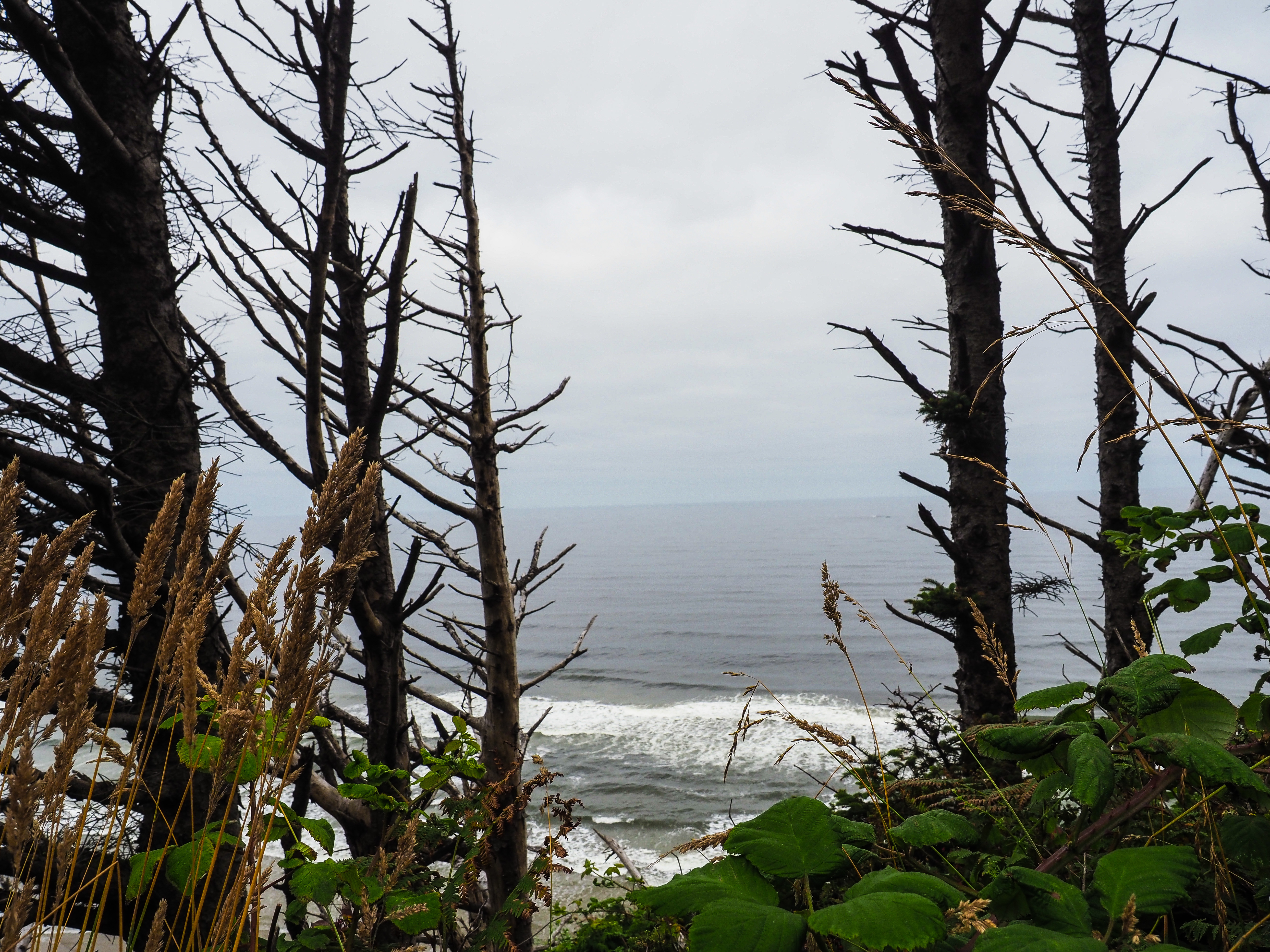 Mezmorised digital artwork